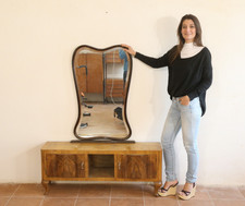 mobile toelette petineuse